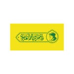 دکور فان حزب الله هم غالبون زرد2