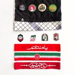 نائب الزیاره